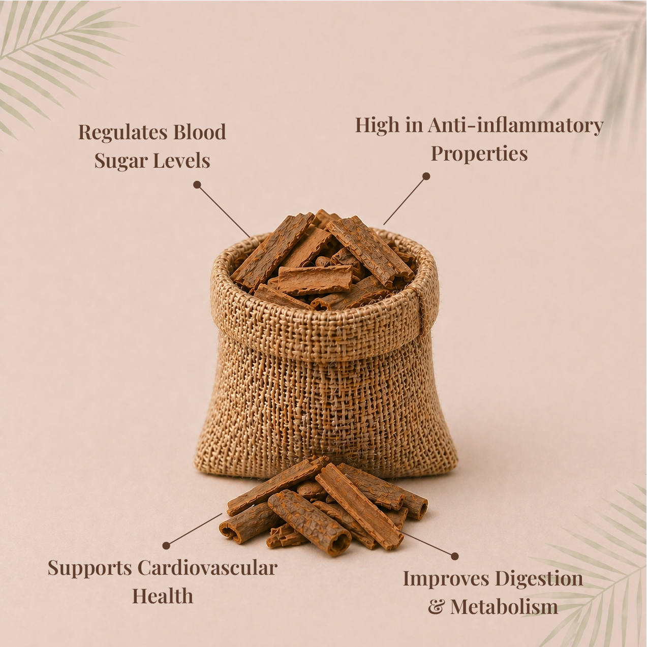 Organic Cinnamon Bark | சுருள்பட்டை