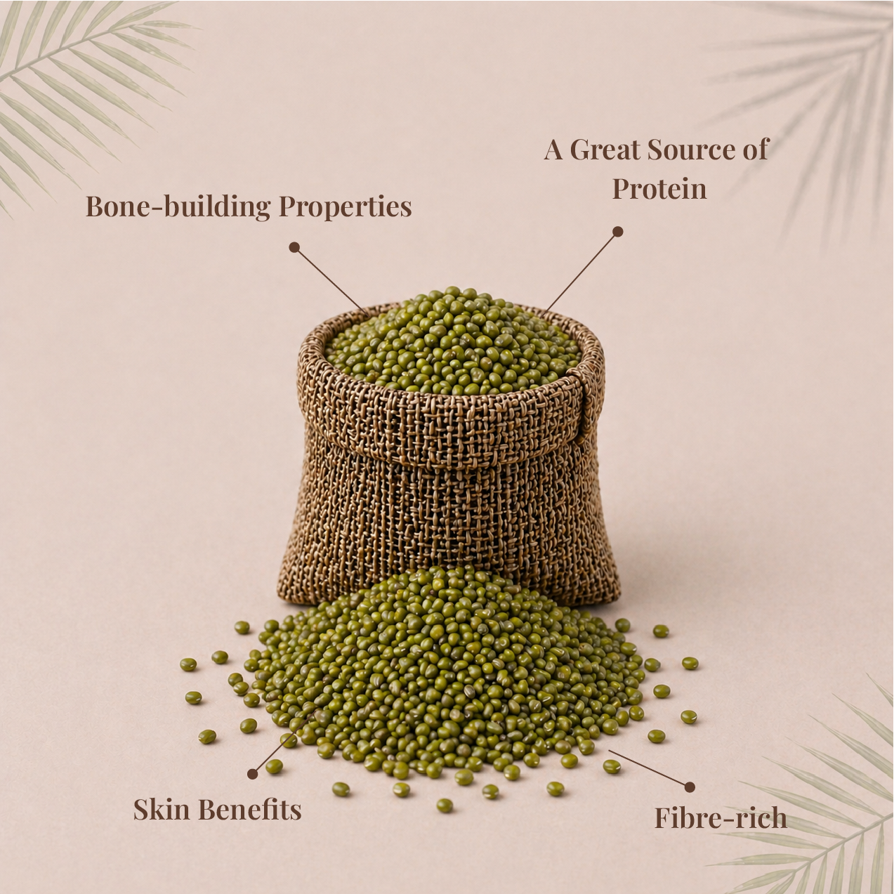 Green Gram | பச்சை பயிறு