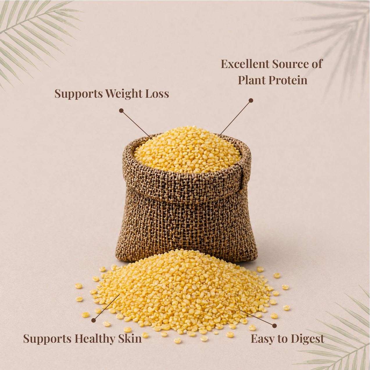 Moong Dal | பாசிப் பருப்பு