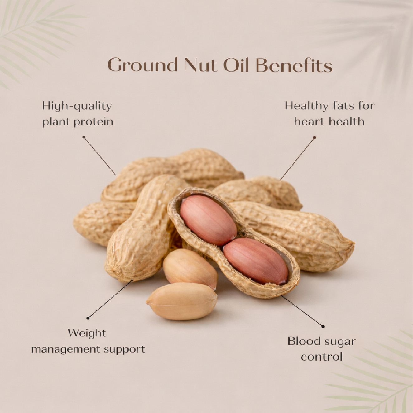 Wood Pressed Groundnut Oil | மரச்செக்கு கடலெண்ணெய்