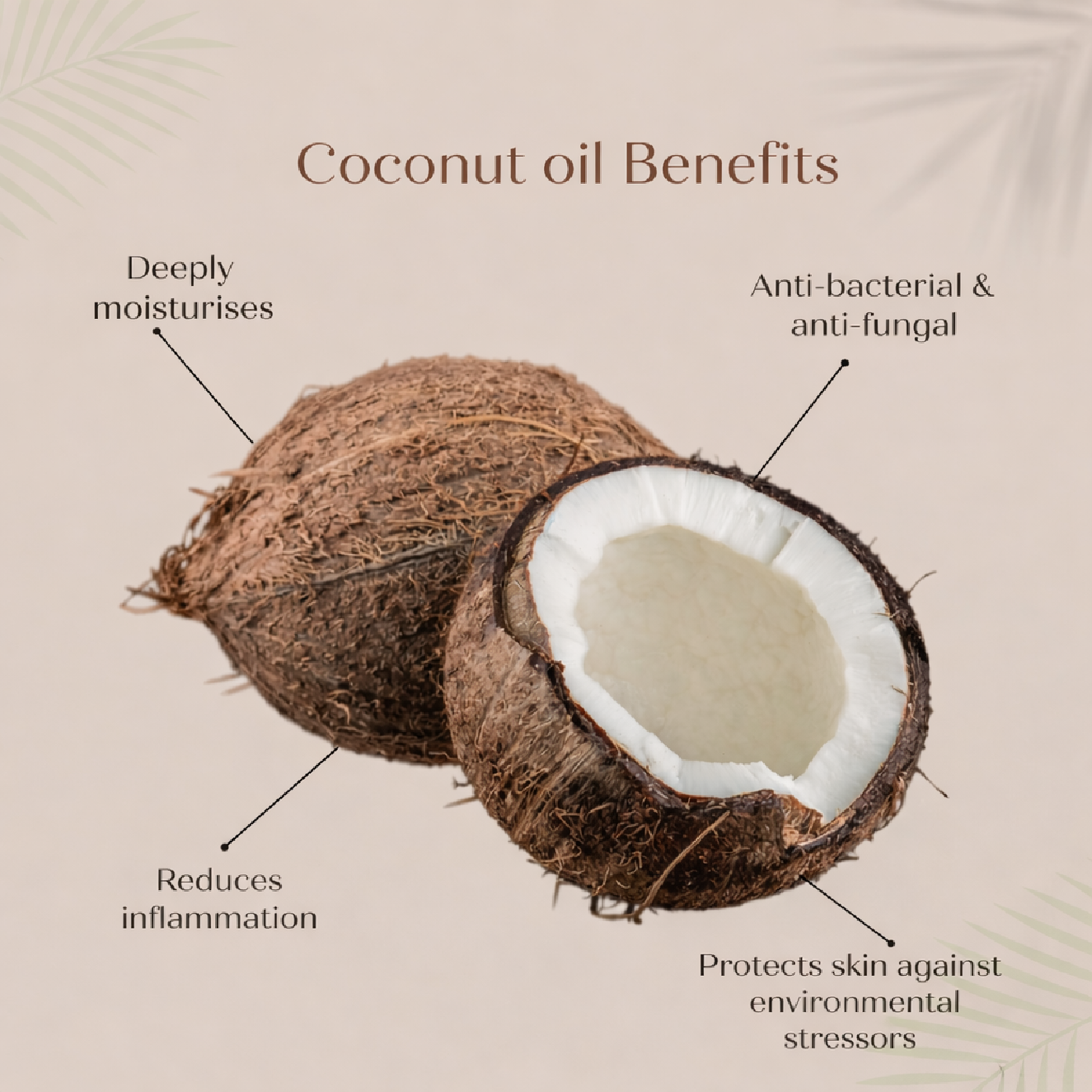 Wood Pressed Coconut Oil | மரச்செக்கு தேங்காய் எண்ணெய்