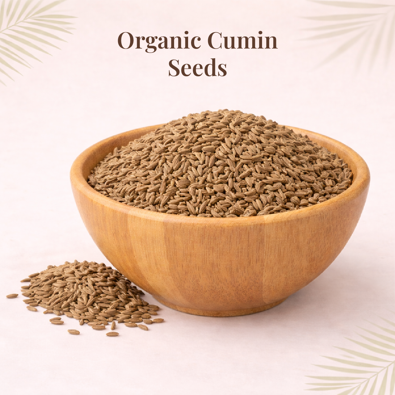 Organic Cumin Seeds | சீரகம்